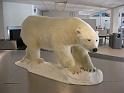 longyearbyen_roland_07july 042